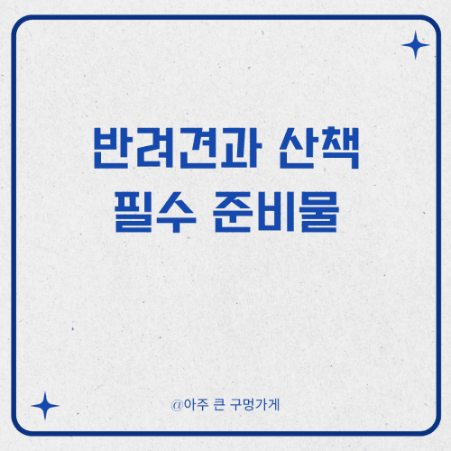 반려견 산책시킬 때 필수 준비물
