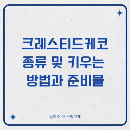 크레스티드케코 종류 및 키우는 방법과 준비물