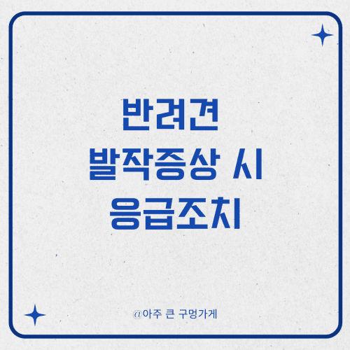 반려견 발작 시 응급조치