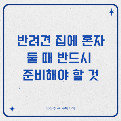 반려견 집에 혼자 둘 때 반드시 준비해야 할 것