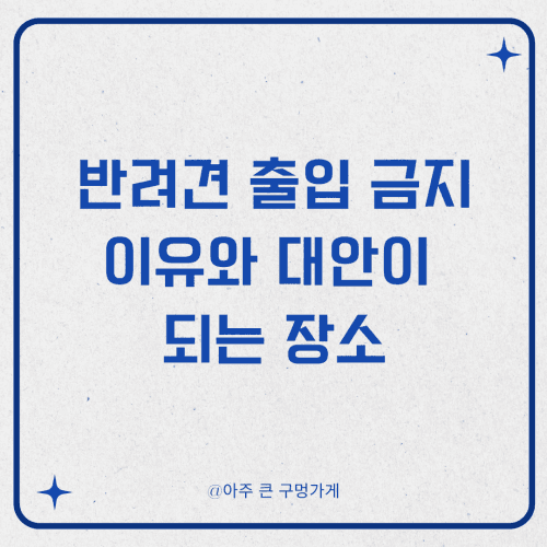 반려견 출입 금지 이유와 대안이 되는 장소