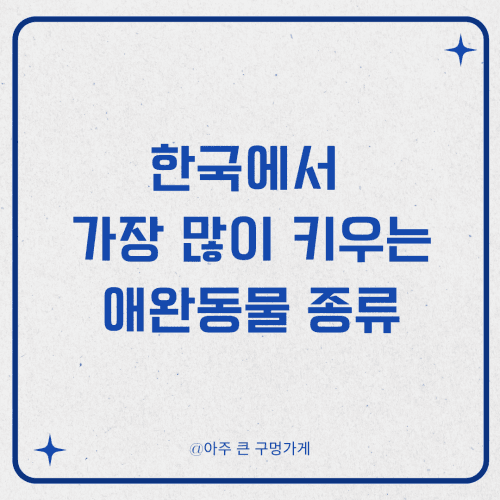 한국에서 가장 많이 키우는 애완동물 종류