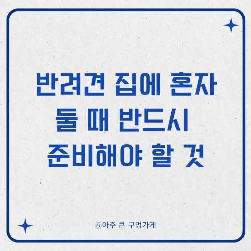 반려견 집에 혼자 둘 때 반드시 준비해야 할 것 1 반려견 집에 혼자 둘 때 반드시 준비해야 할 것