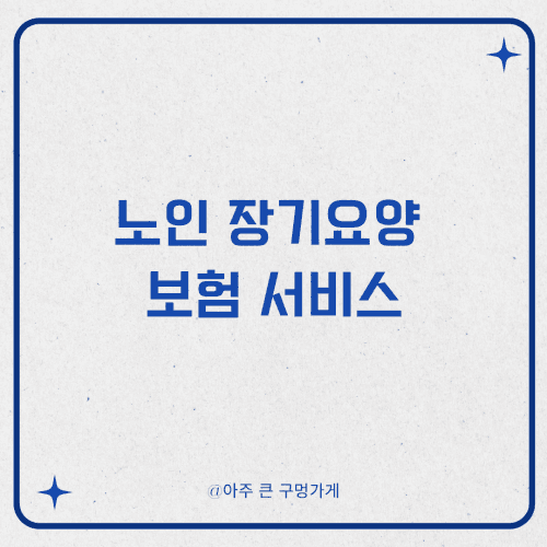 노인 장기요양 보험 서비스