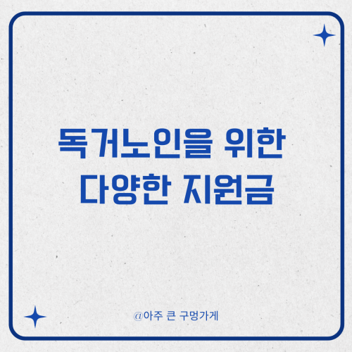 독거노인을 위한 다양한 지원금
