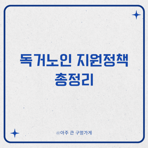 독거노인 지원정책 총정리