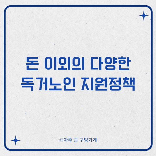 돈 이외의 다양한 독거노인 지원정책