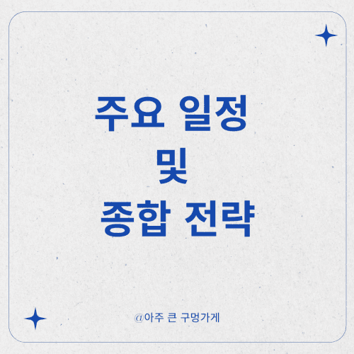 주요 일정 및 종합 전략