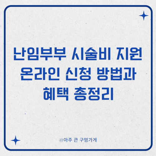난임부부 시술비 지원 온라인 신청 방법과 혜택 총정리 1 난임부부 시술비 지원온라인 신청 방법과 혜택 총정리