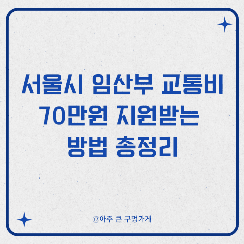 서울시 임산부 교통비 70만원 지원받는 방법 총정리 1 서울시 임산부 교통비 70만원 지원받는 방법 총정리