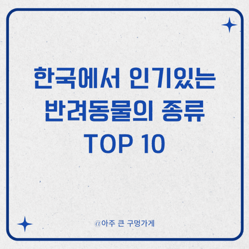 한국에서 인기있는 반려동물의 종류 Top 10과 시장 규모
