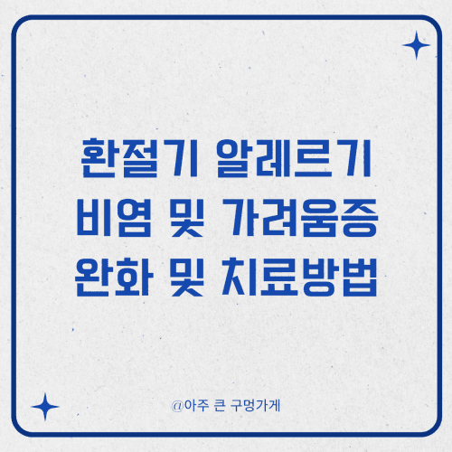 환절기 알레르기 비염 및 가려움증 완화 및 치료방법