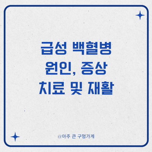 급성 백혈병 원인, 증상, 치료부터 재활
