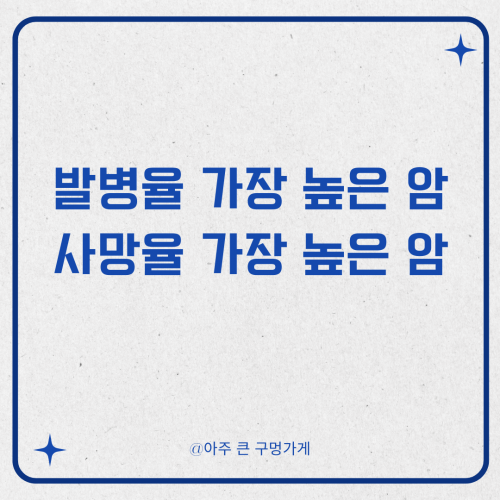 발병율이 가장 높은 암, 사망율이 가장 높은 암 통계
