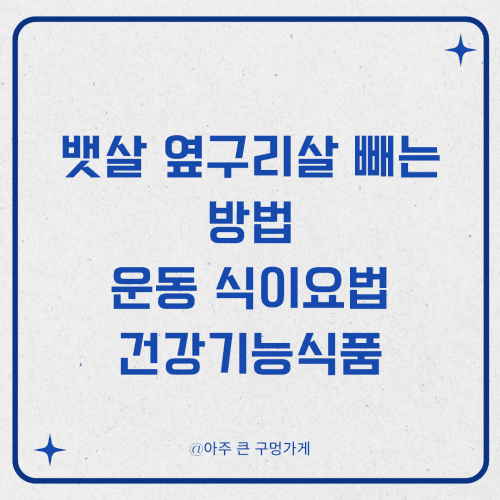 뱃살 옆구리살 빼는 방법 운동 식이요법 건강기능식품