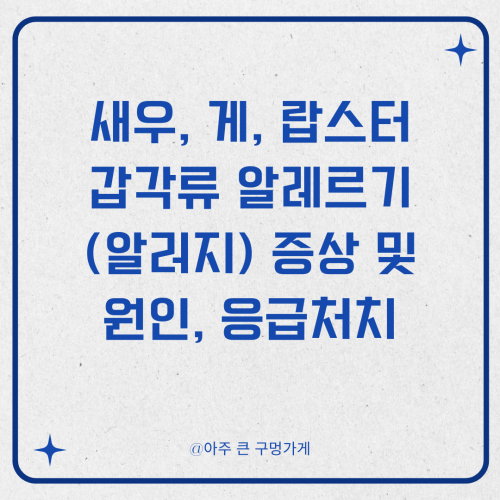 새우, 게, 랍스터 갑각류 알레르기(알러지) 증상 및 원인, 응급처치