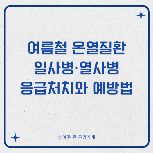 여름철 온열질환: 일사병·열사병 응급처치와 완벽 예방법