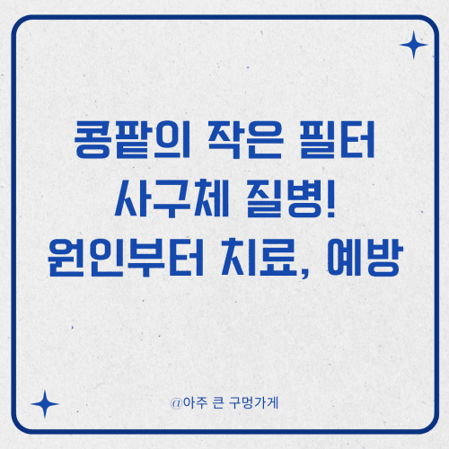 콩팥의 작은 필터, 사구체 질병! 원인부터 치료, 예방